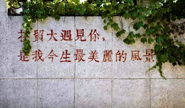 微信图片_20250304102909.png